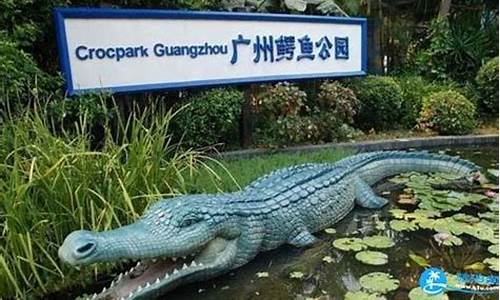 广州香江鳄鱼公园_广州鳄鱼公园鳄龟