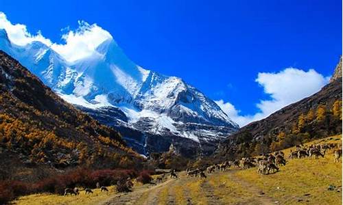 稻城亚丁自由行旅游攻略_稻城亚丁攻略自由