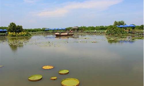 南沙湿地公园好玩吗,南沙湿地公园有什么玩