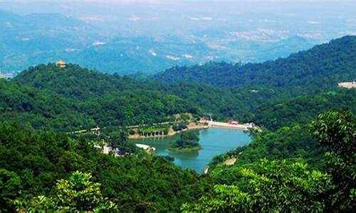 广州帽峰山森林公园残疾人免门票吗,广洲帽峰山