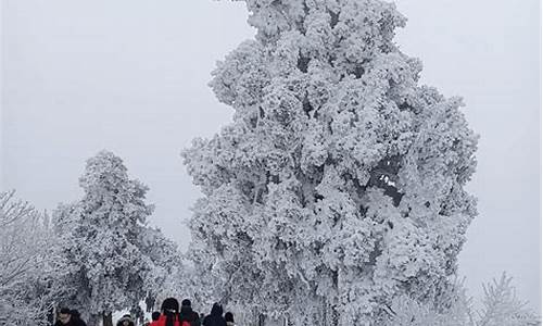 南岳衡山旅游攻略看雾凇_南岳衡山景点开放时间