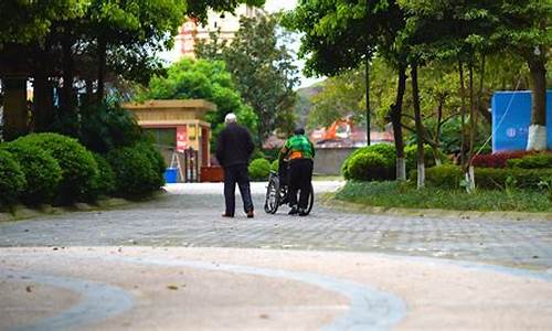 金家街公园坐几路车_金家街公园里老人接客