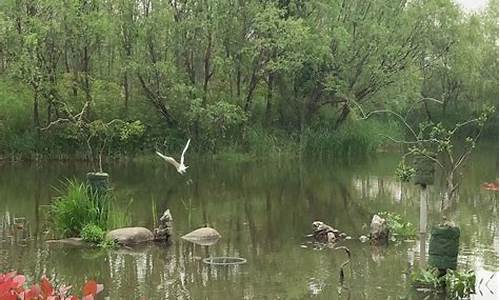 新江湾城公园钓鱼地点,新江湾城公园钓鱼