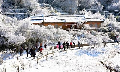 冬季重庆旅游攻略,重庆 冬季 旅游