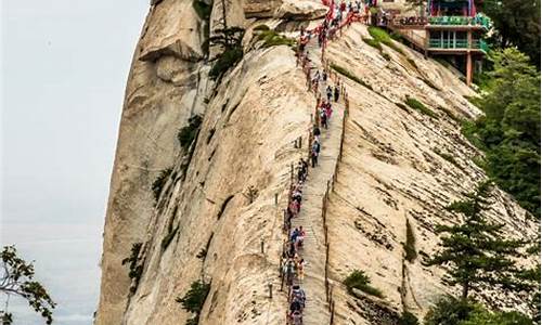 上海去华山旅游攻略_上海到华山旅游攻略