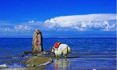 青海湖自驾一日游路线攻略_青海湖自驾旅游攻略自由行路线