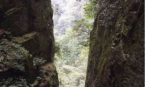 天目山旅游攻略两日游路线,天目山旅游攻略两日游