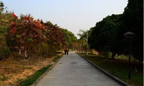 广州龙头山风景区营业时间_广州龙头山森林公园游玩攻略