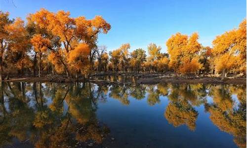 木垒县胡杨林景区电话,木垒胡杨林旅游攻略