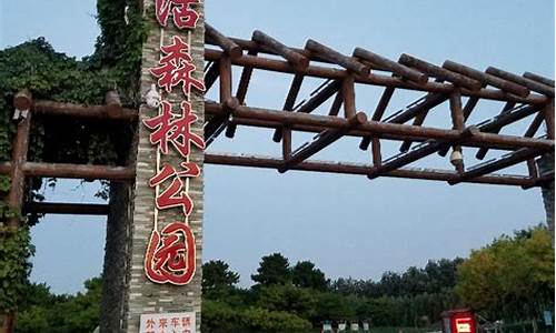 塘沽森林公园多大面积,塘沽森林公园塑胶跑道