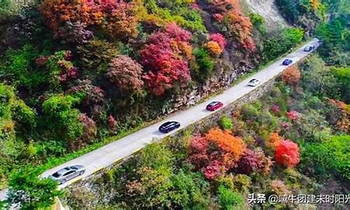 翠华山一日游路线,翠华山旅游攻略一日游推荐