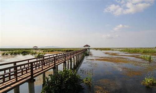 崇明岛旅游攻略一日游,崇明岛旅游攻略一日游最佳路线