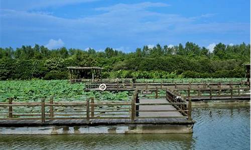 南沙湿地公园的景点,广州南沙湿地公园有什么好玩的