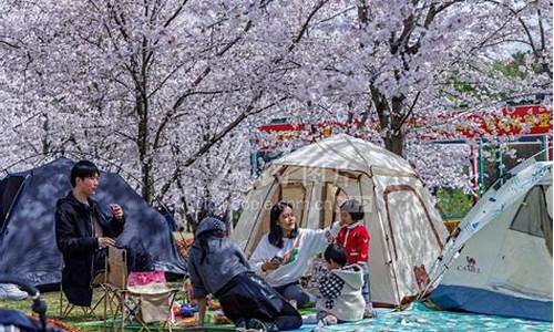 顾村公园樱花节车展门票_顾村公园樱花节什么时候开2021