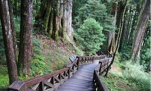 阿里山山脉,阿里山攻略纠错技巧