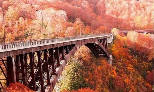 北海道秋季旅游攻略,北海道旅游旺季