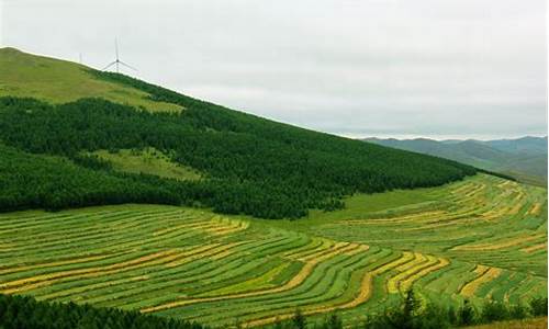 草原天路自驾攻略_草原天路自驾攻略