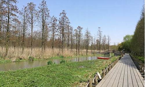 上海最美公园排名第一,上海西郊公园
