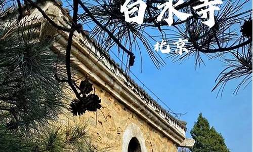 白水寺森林公园旅游攻略_白水寺森林公园管理处