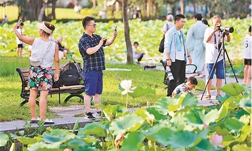 深圳洪湖公园荷花节_深圳洪湖公园荷花节门票价格