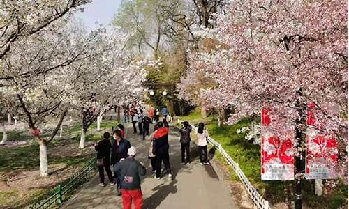 玉渊潭公园樱花在哪个门,玉渊潭公园樱花节年票能用吗