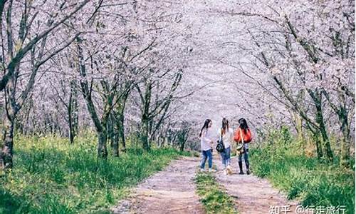 春季旅游攻略景点推荐-春季旅游线路推荐